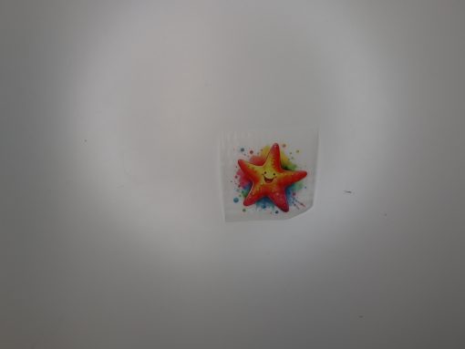 Bügelbild Seestern 5 x 5 cm