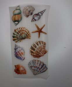 Bügelbild Muscheln zum selbst ausschneiden 20 x 10 cm