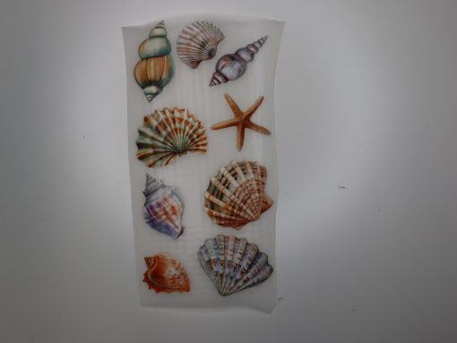 Bügelbild Muscheln zum selbst ausschneiden 20 x 10 cm