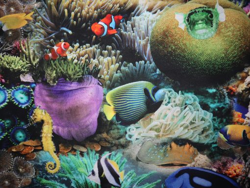Canvas Digitaldruck Aquarium mit Fischen