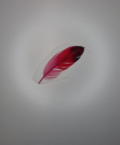 Bügelbild Feder 13 x 5 cm