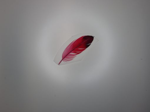Bügelbild Feder 13 x 5 cm