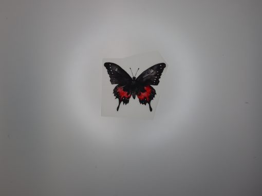 Bügelbild Schmetterling 10 x 8 cm