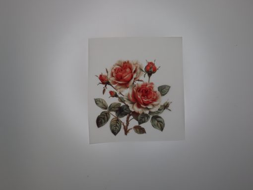 Bügelbild Vintage Rosen 11 x 11 cm