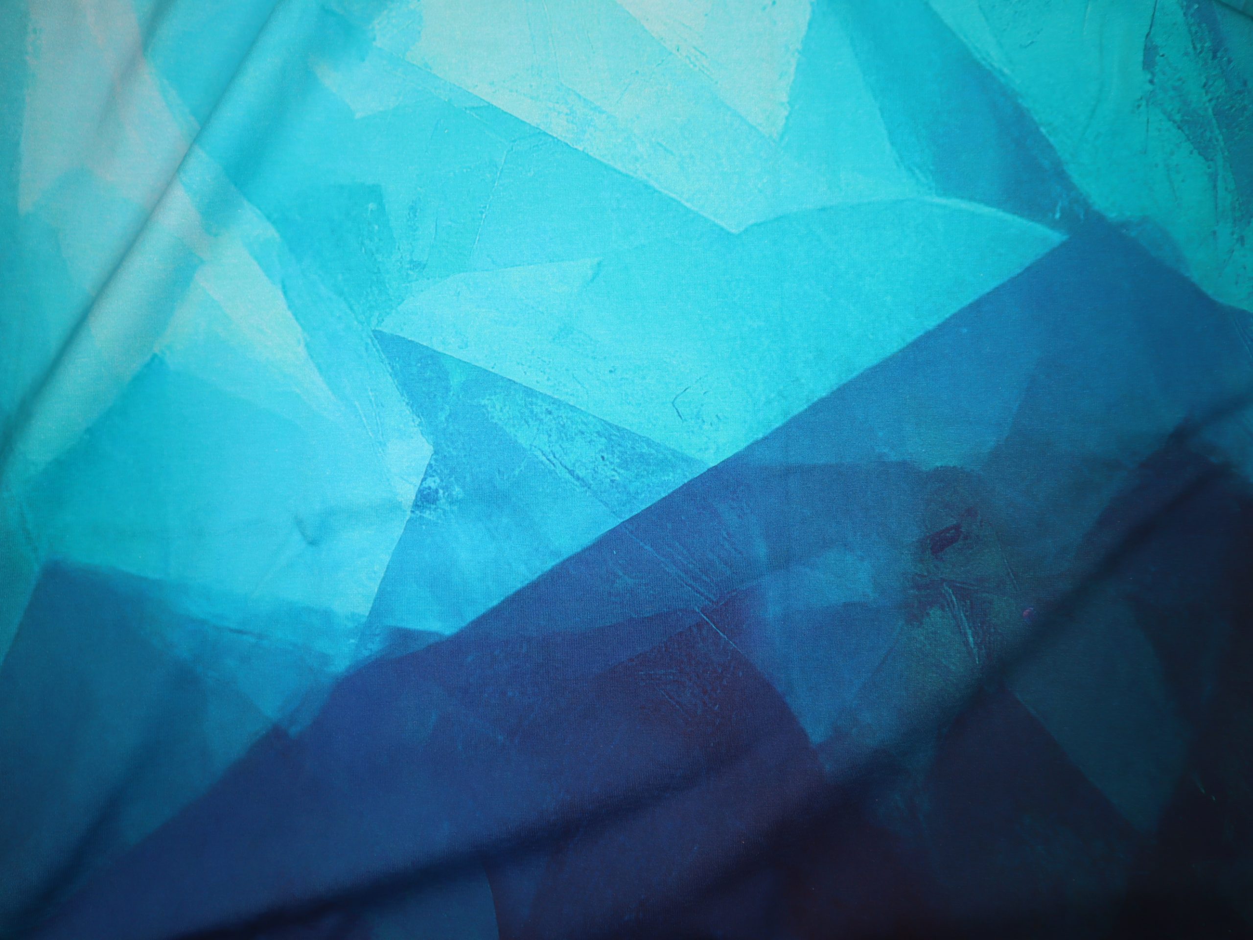 Baumwolljersey Eigenproduktion Panel Anker – Bild 2