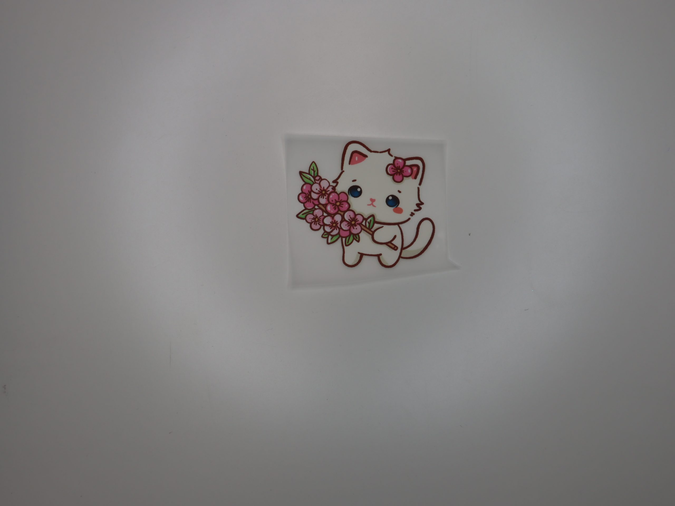 Bügelbild Kätzchen auf Ast 6 x 6 cm