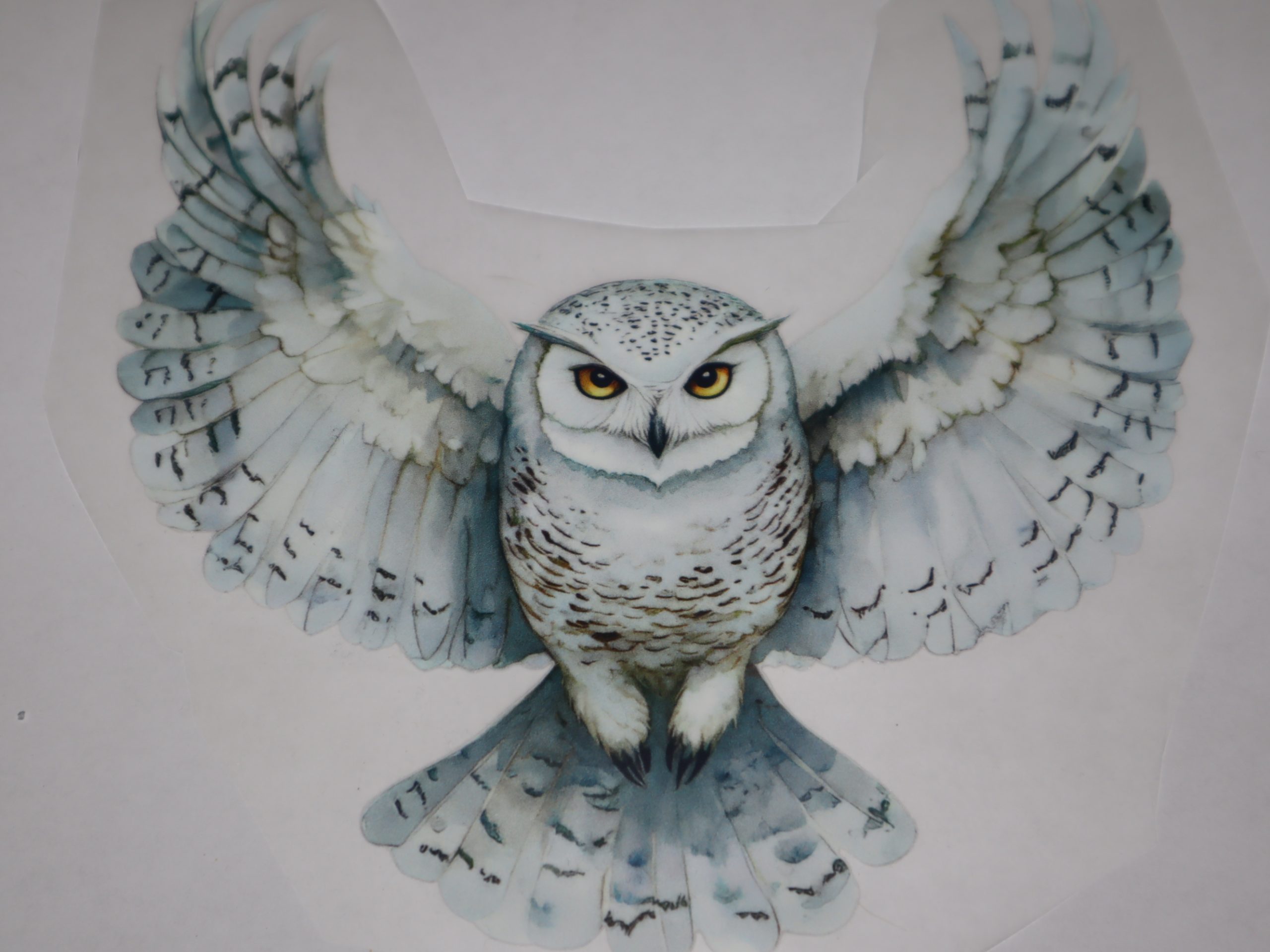 Bügelbild fliegende Eule 22 x 18 cm