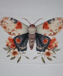 Bügelbild Schmetterling beige 14 x 11 cm cm