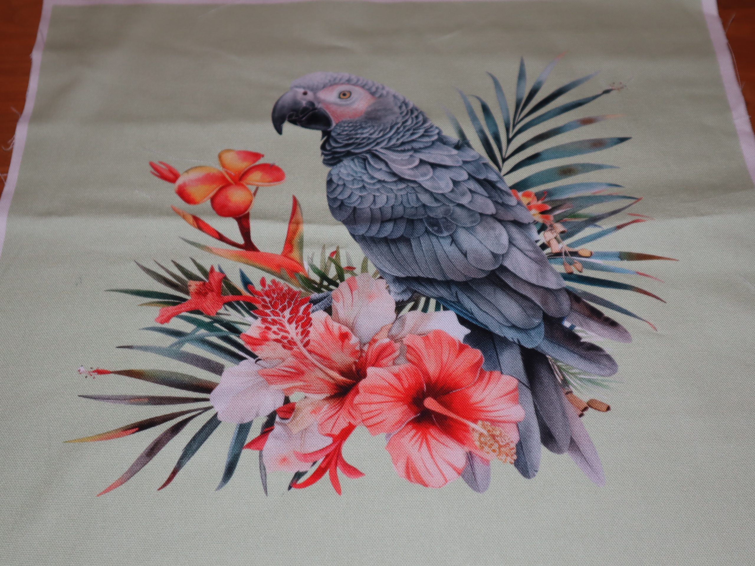 Eigenproduktion Heavy Canvas Panel 41 x 41 cm Graupapagei