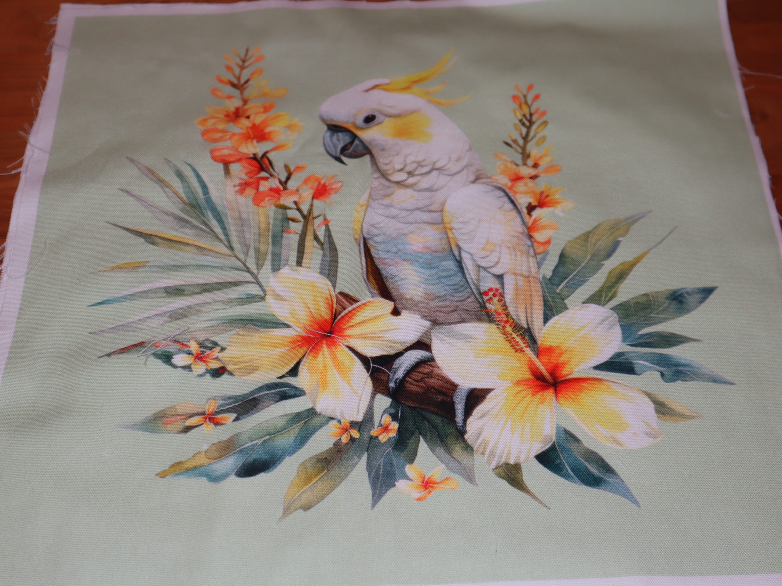 Eigenproduktion Heavy Canvas Panel 41 x 41 cm Kakadu